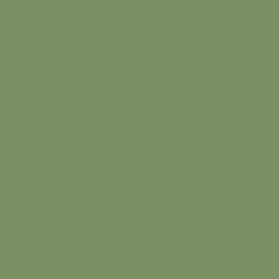 

РАФ Интерьер Зеленый, Paints - Greens, Blues, & Purples (Mission Models)