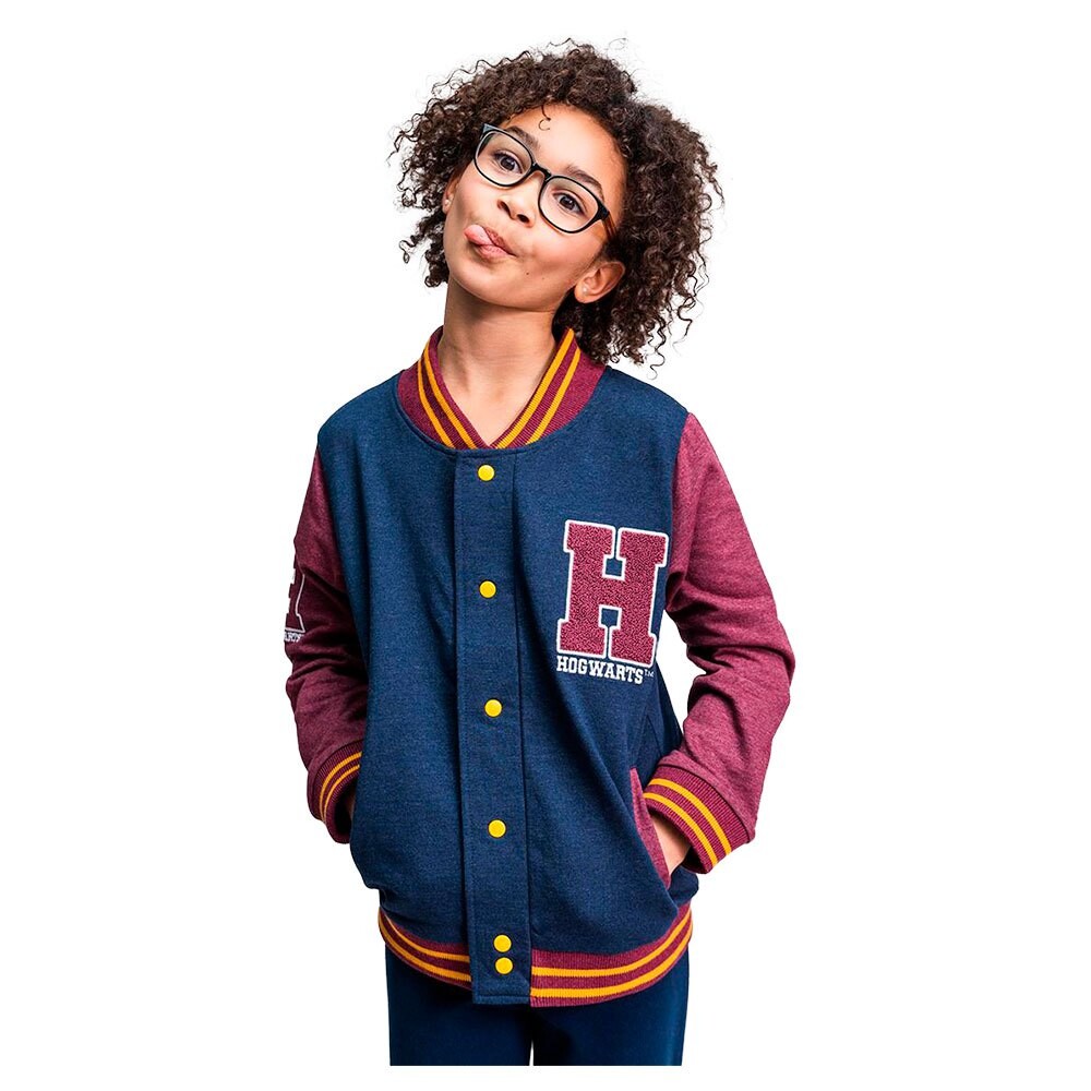 

Толстовка Cerda Group Cotton Brushed Harry Potter, синий