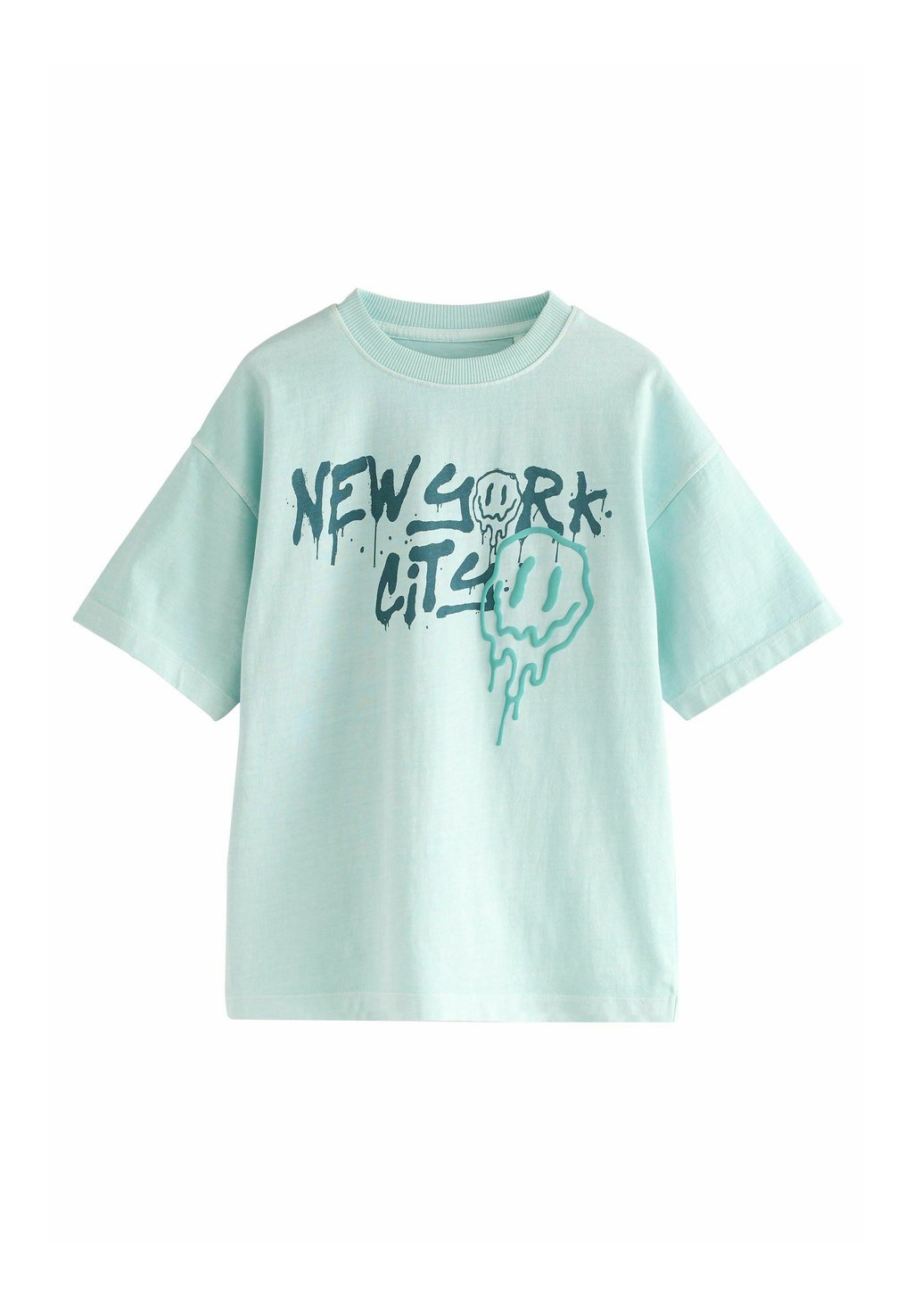 

Футболка с принтом RELAXED FIT WASHED SHORT SLEEVE GRAPHIC Next, синий