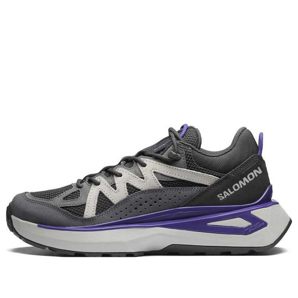 

Кроссовки odyssey elmt low 475900 Salomon, черный