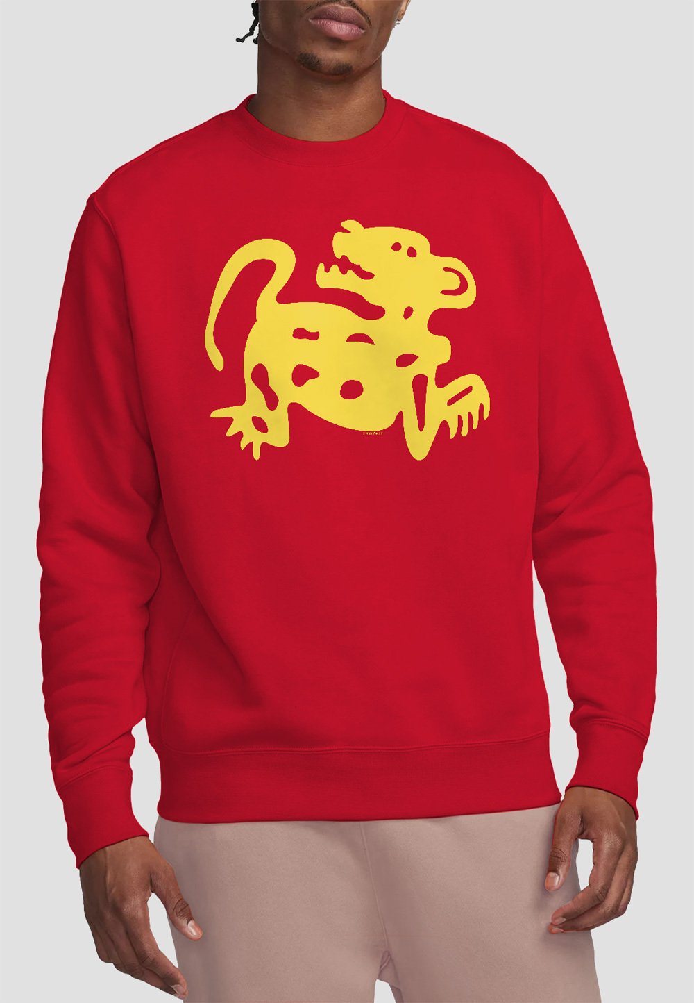 

Толстовка LEGENDS OF THE HIDDEN TEMPLE RED JAGUARS Cotton Soul, красный
