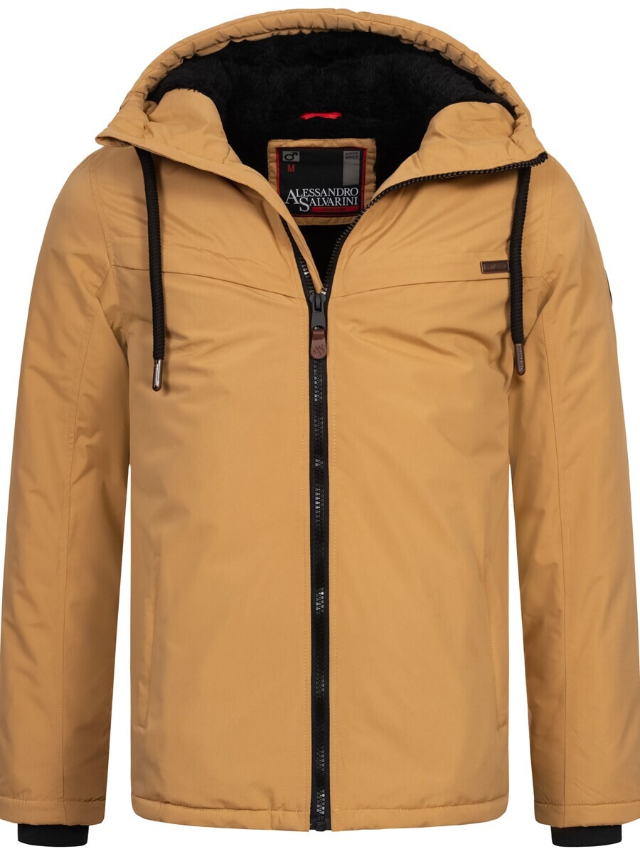 

Зимняя куртка Alessandro Salvarini Winter Jacket, коричневый