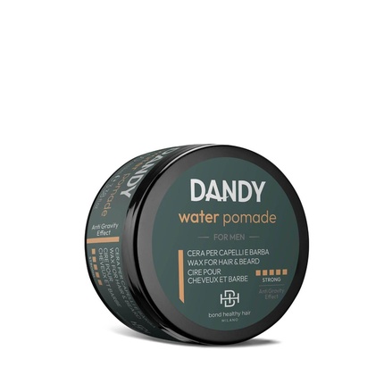 

Помада для волос 100 мл Dandy