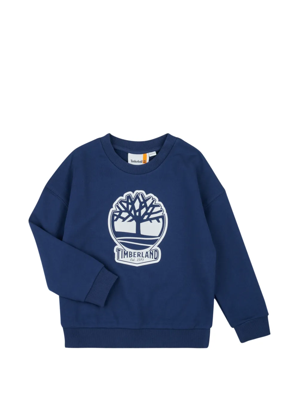 Худи Timberland Kids, синий