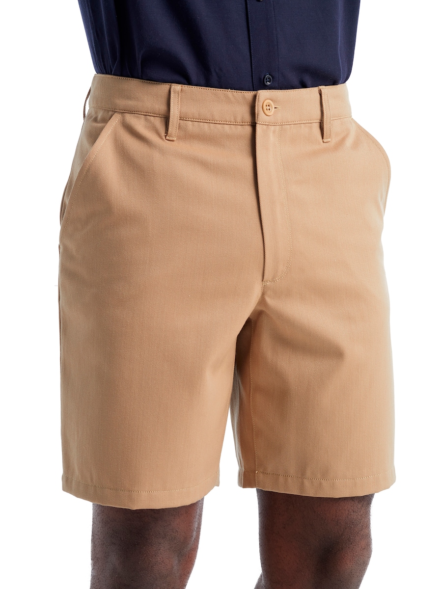 

Обычные брюки для активного отдыха ICEBREAKER Berlin, песочный