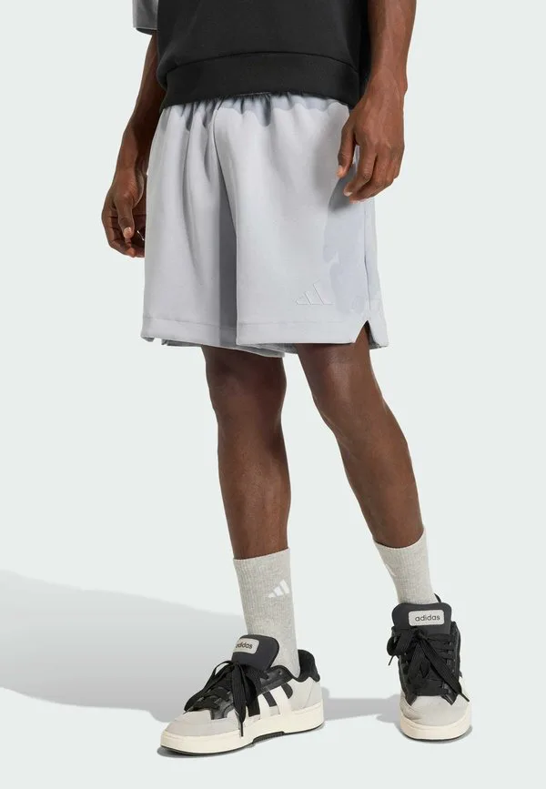 Спортивные штаны Adidas Sportswear, Halo Silver