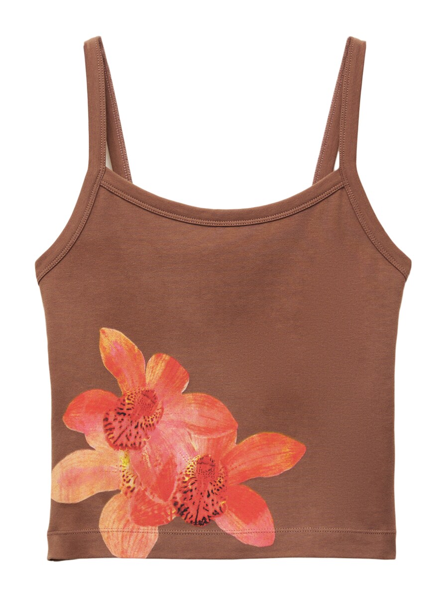 

Топ Pull&Bear Pull&Bear , Brown