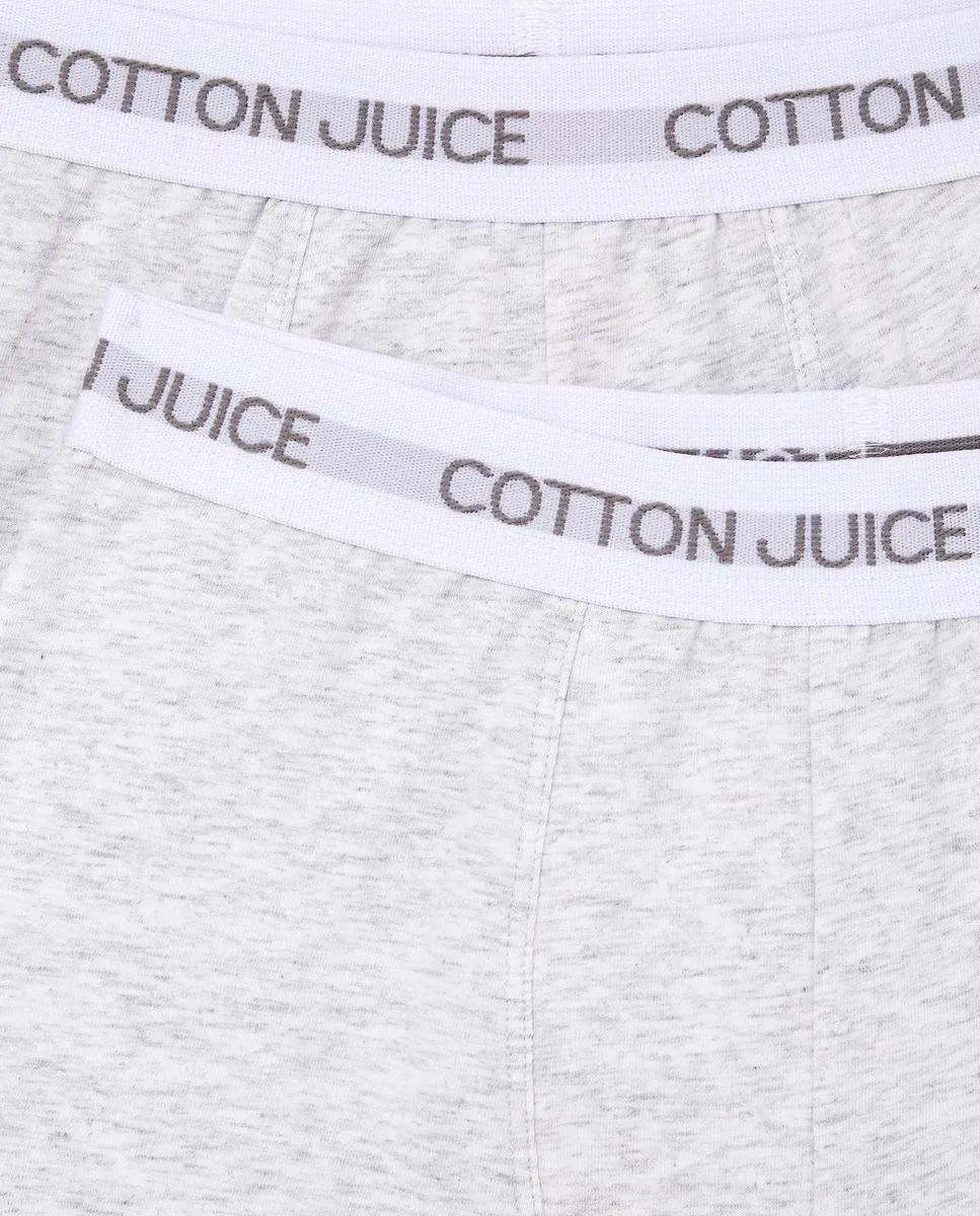 Упаковка из двух простых мужских трусов-боксеров Cotton Juice, светло-серый — фото 3