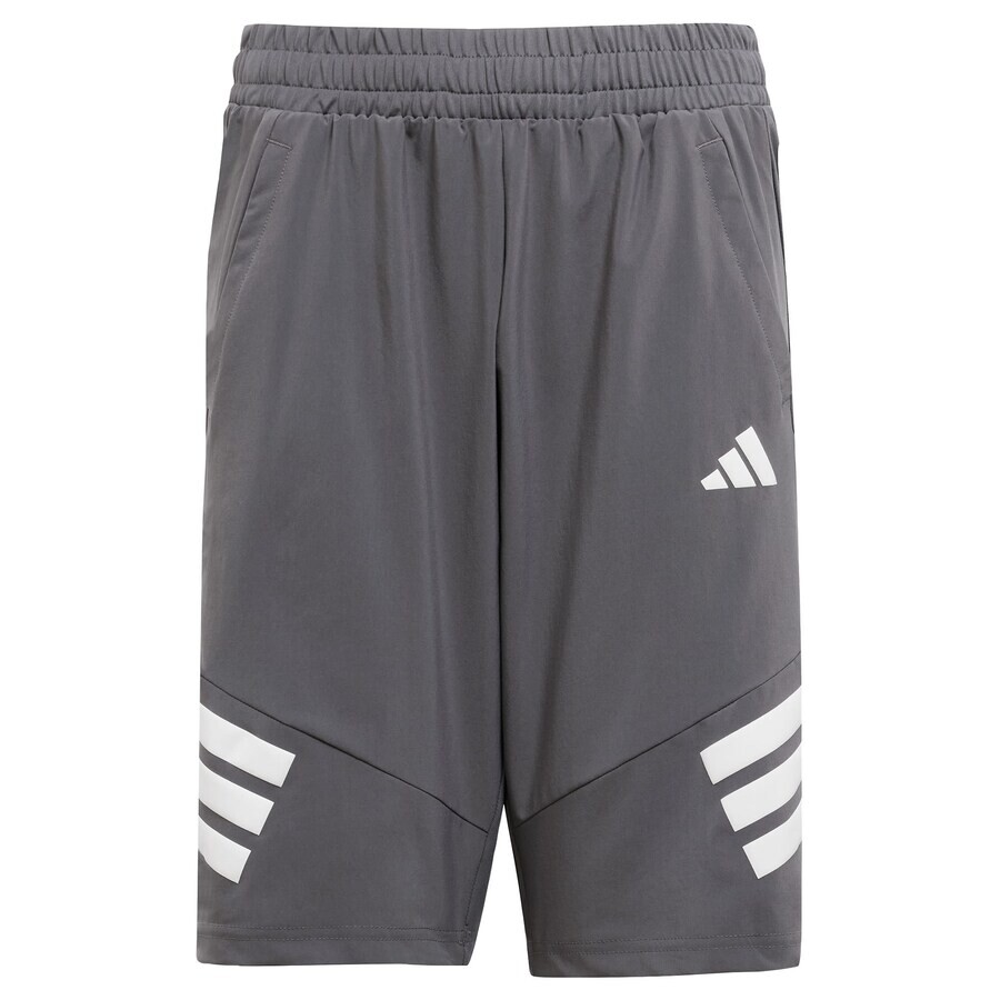 

Шорты ADIDAS SPORTSWEAR Regular Workout Pants All Sports NXT, серый