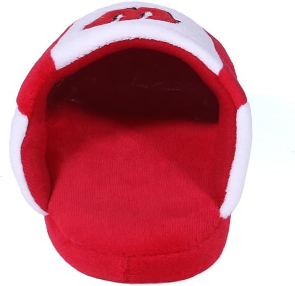 Тапочки Comfy Feet NCAA Low Pro Stripe Slip On, Wisconsin Badgers — фото 3