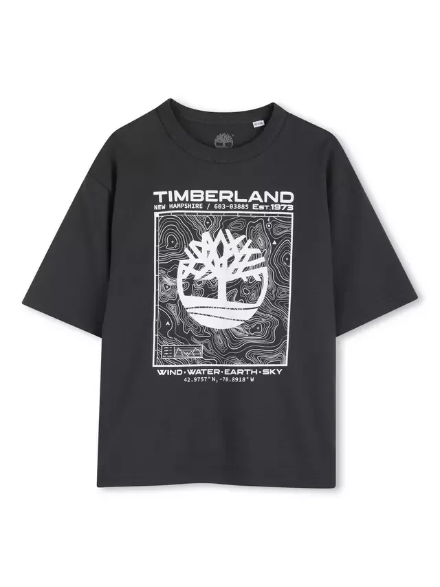 Детская футболка с графическим принтом Элементы, темно-серая/белая Timberland