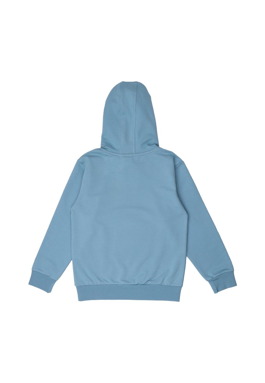 

Толстовка с капюшоном WHALES & SEA TURTLES Walkiddy, синий