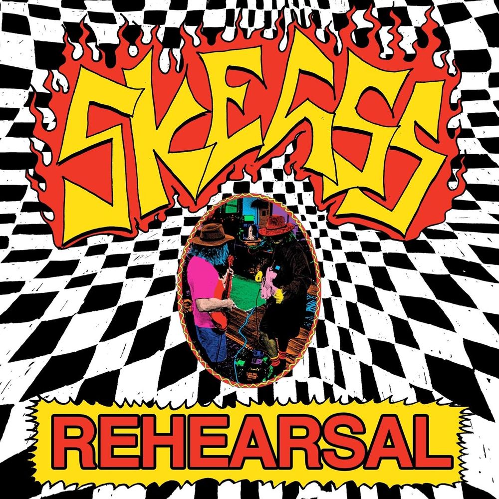 

Виниловая пластинка LP Rehearsal [Purple Vinyl] - Skegss