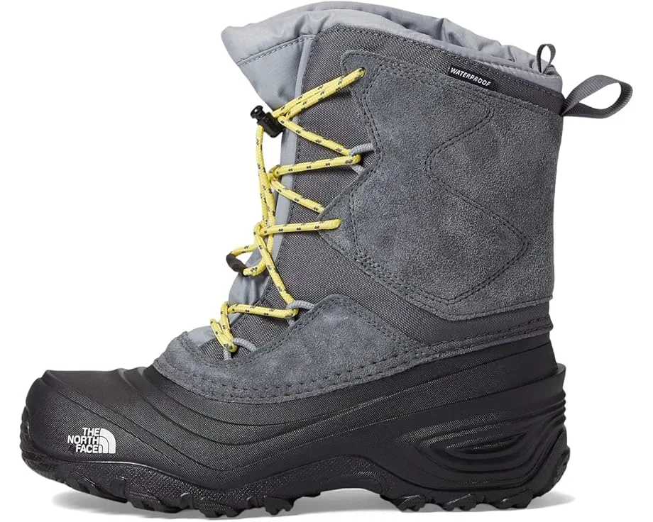 Ботинки The North Face Kids Alpenglow V Waterproof (Toddler/Little Kid/Big Kid), Vanadis Grey/Meld Grey — фото 4