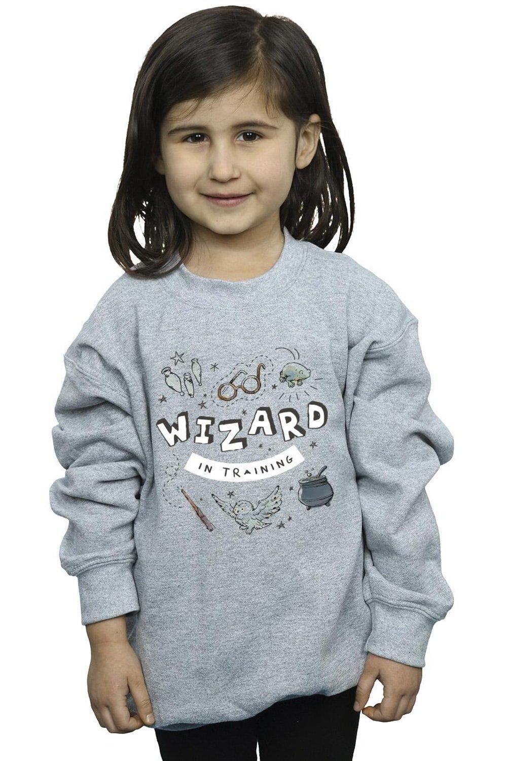 

Толстовка Wizard In Training Harry Potter, серый
