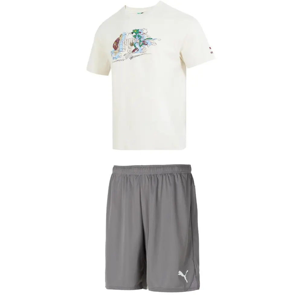 

Повседневная спортивная одежда для мужчин Белый/серый Puma, белый/серый