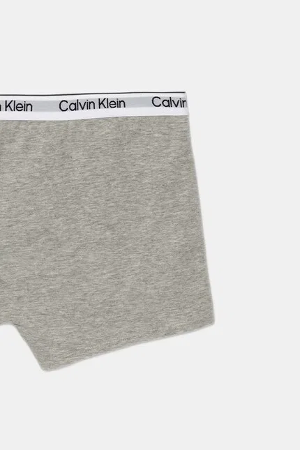 Боксеры детские хлопковые 2 шт Calvin Klein Underwear, серый — фото 4