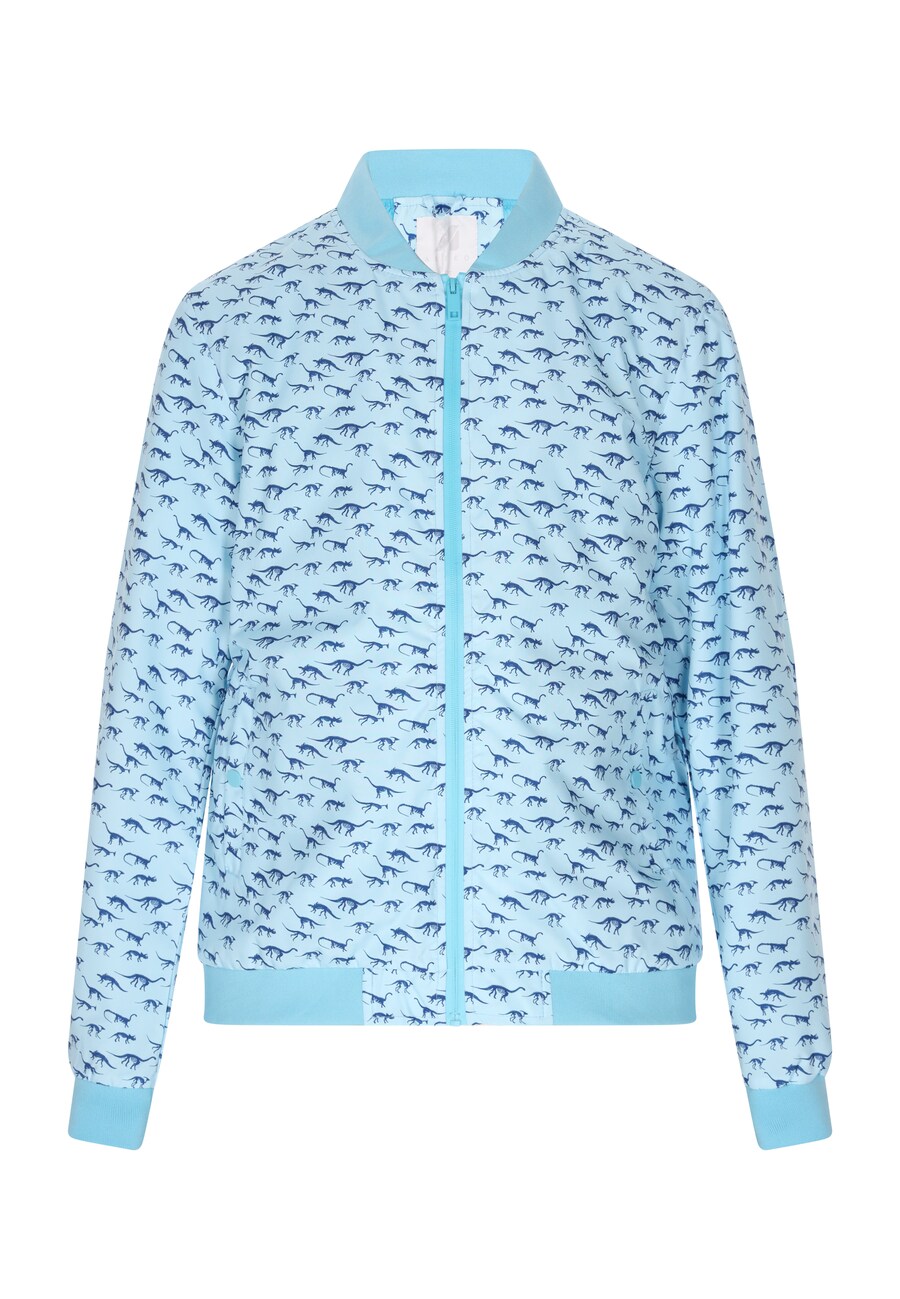 

Демисезонная куртка ALEKO, Blue/Light blue