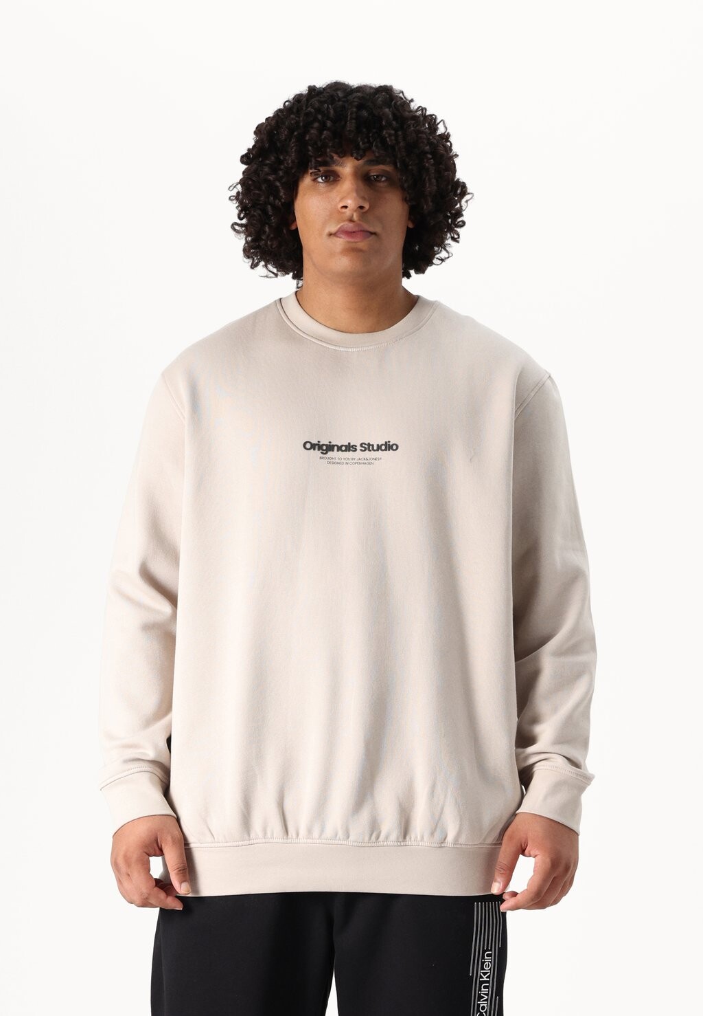 

Толстовка JORVESTERBRO PLUS SWEAT Jack & Jones, кремовый