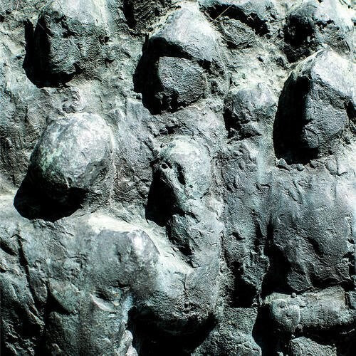 

CD диск Arc: Fleet