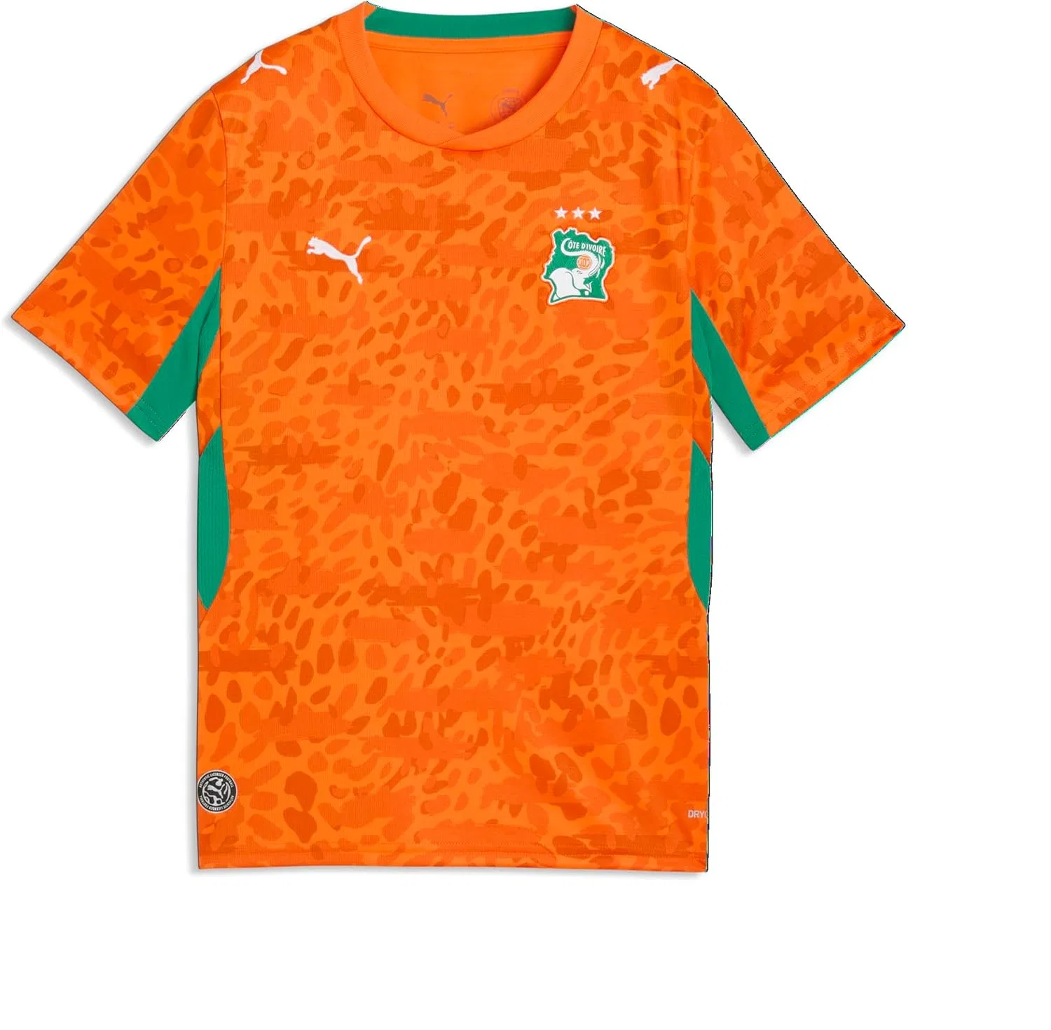 Футболка детская Kenya Ivory Coast, PUMA, Rickie Orange-sport Green