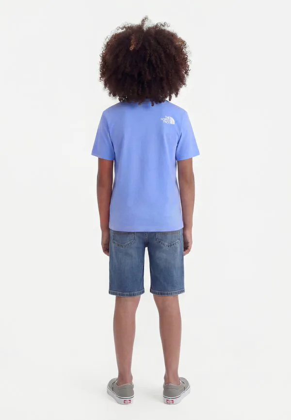 Футболка с коротким рукавом и принтом, от brand proud, свободного кроя. The North Face, Periwinkle Glow — фото 2