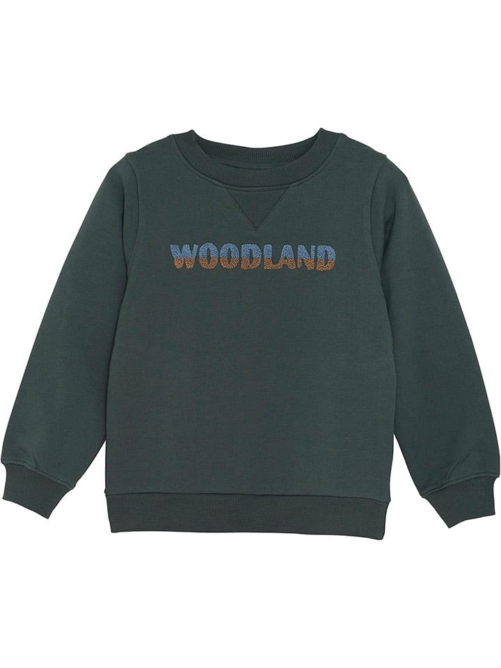 

Толстовка enfant Sweatshirt, темно-зеленый