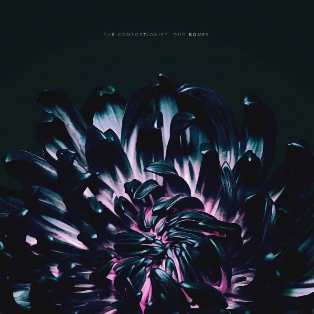 

Диск CD Our Bones - The Contortionist