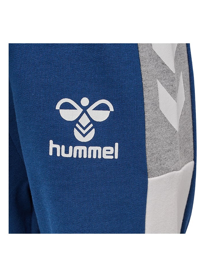 Hummel Спортивные штаны "Skye" синего цвета — фото 4