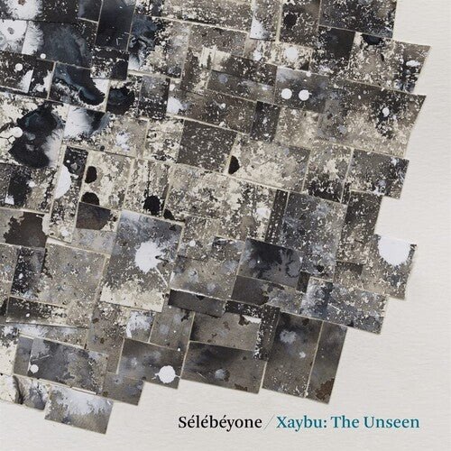 

Виниловая пластинка Lehman, Steve / Selebeyone - Xaybu: The Unseen