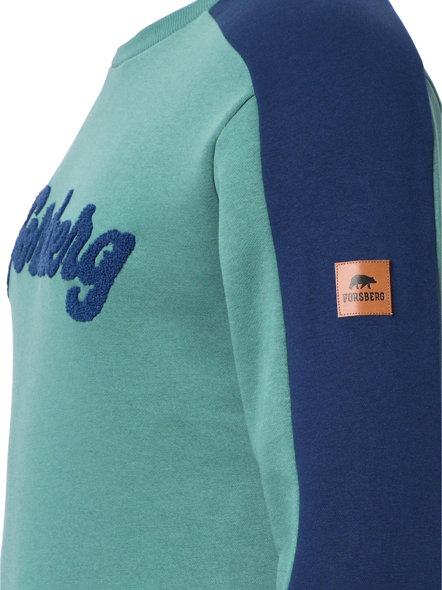 

Толстовка FORSBERG mit Vintage Logo, зеленый