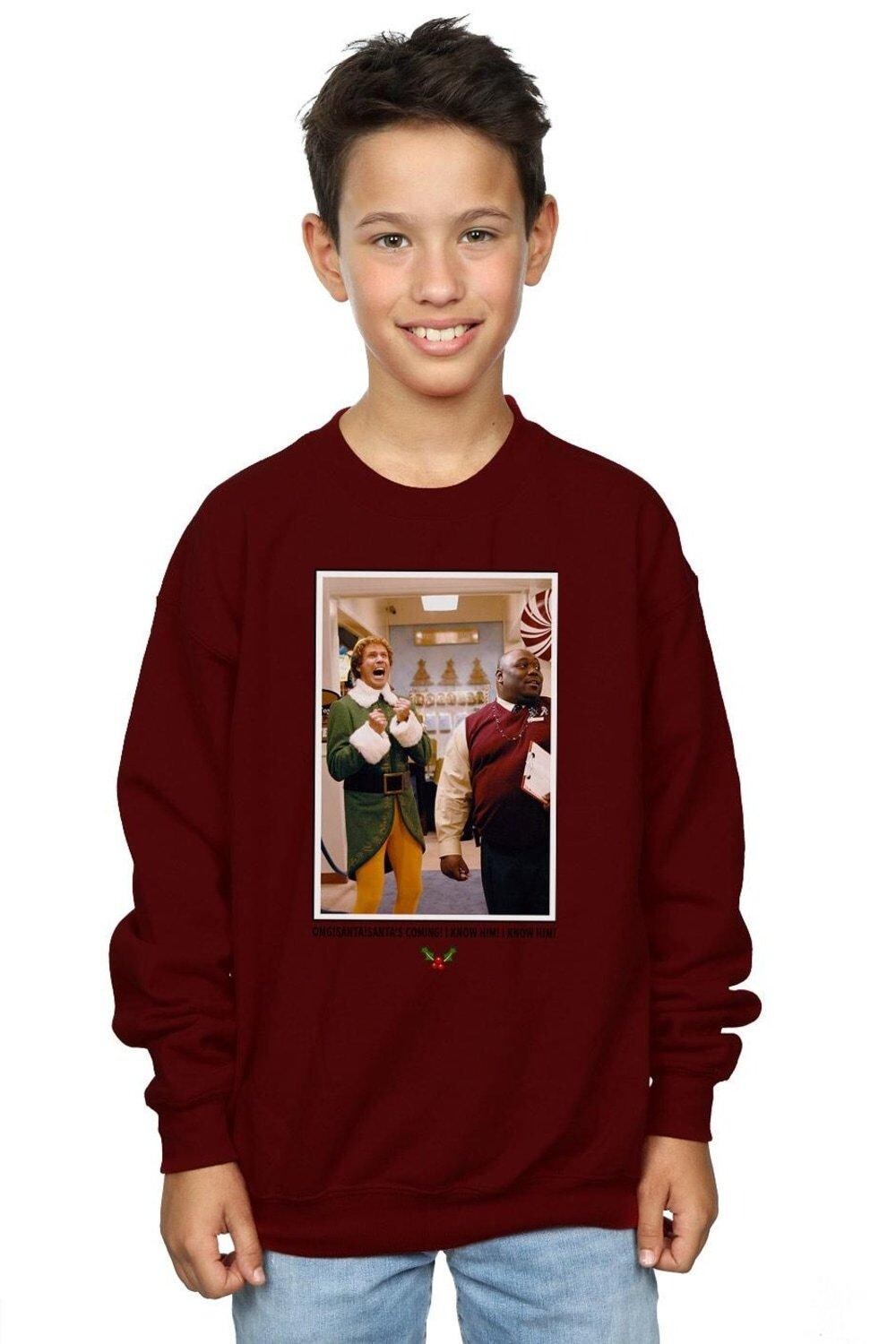 

Толстовка OMG Santa Photo Elf, красный