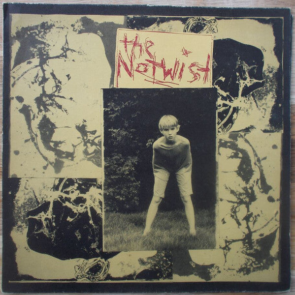 

Виниловая пластинка Notwist: Notwist