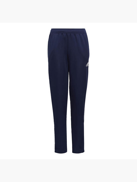 

Тренировочные брюки Entrada 22 Adidas, синий