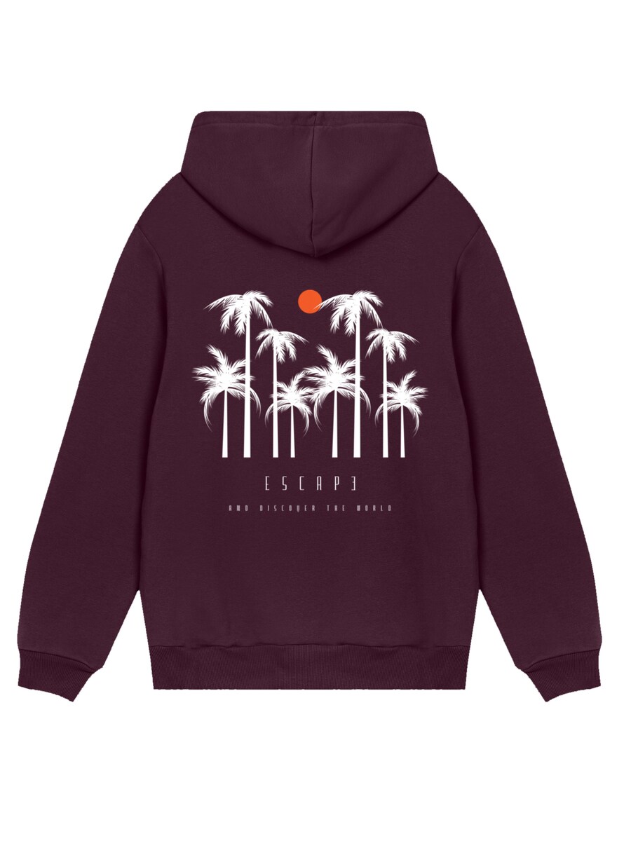 

Толстовка F4NT4STIC Escape Discover the World, коричневый