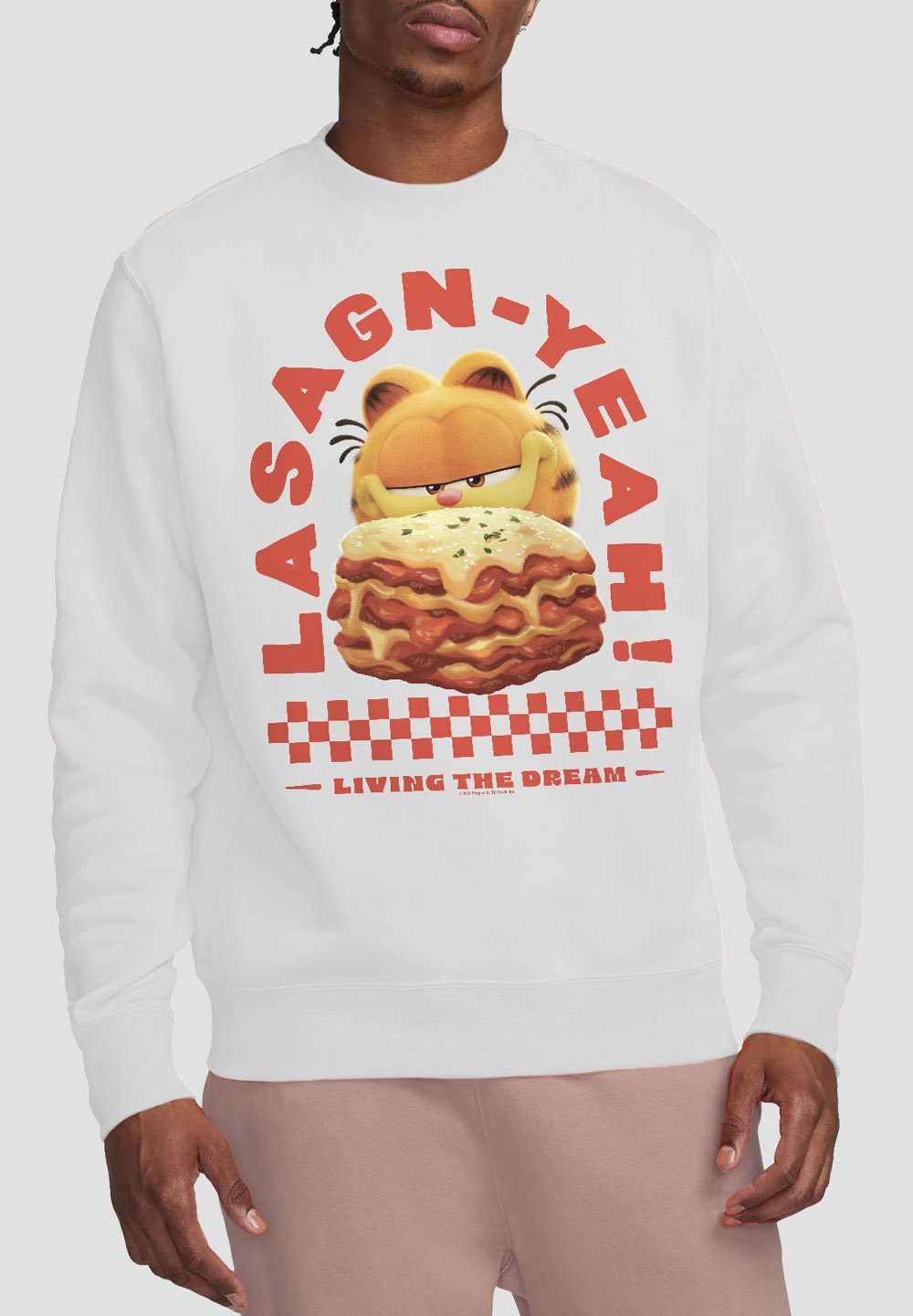 

Толстовка GARFIELD MOVIE LASAGNYEAH Cotton Soul, белый