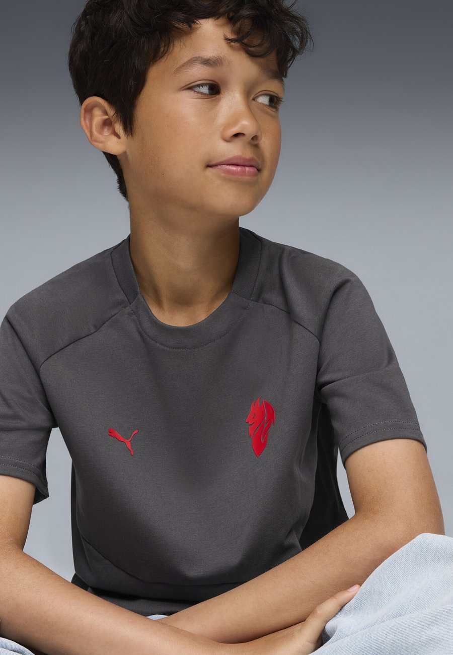 Футболка Puma Print T-shirt, Shadow Gray For All Time Red/Grey — фото 3
