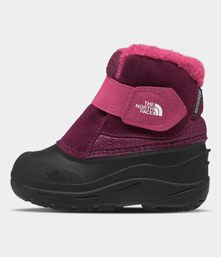 

Ботинки Alpenglow II для малышей The North Face, Boysenberry/TNF Black