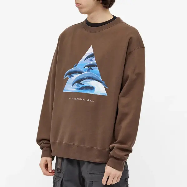 Толстовка Nike ACG Whale Crew Sweat 'Ironstone Smoke Grey', цвет tan/multi-color — фото 4