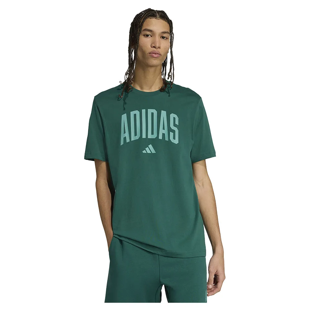 

Футболка с коротким рукавом adidas Collegiate Lineage Graphic, зеленый