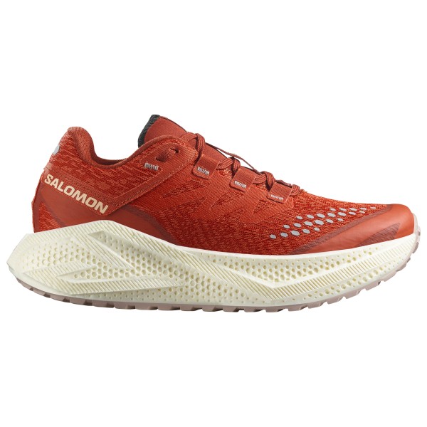

Женские кроссовки Aero Glide 3 grvl Salomon, мультиколор