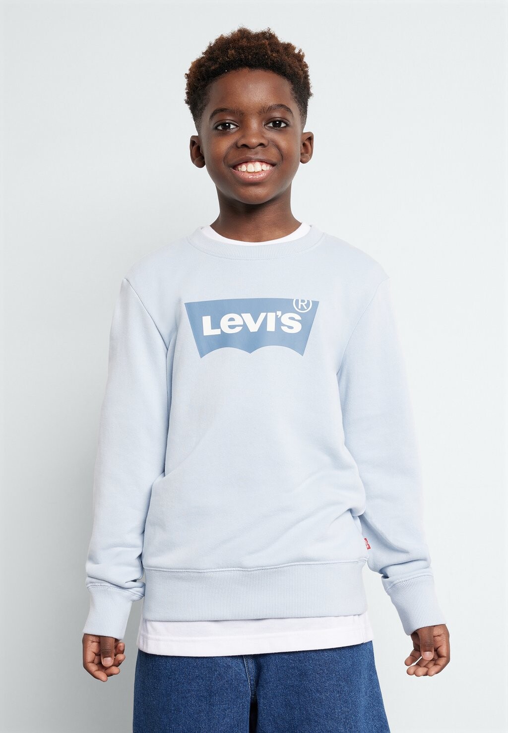 

Толстовка BATWING Levi's, цвет niagra mist