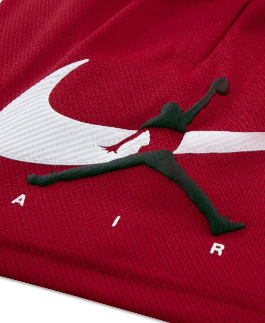 Детские шорты Arch Mesh для мальчиков 2T-4T Jordan, gym красный — фото 4
