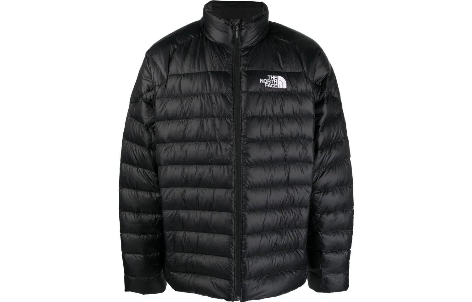 

Куртка мужская черная The North Face, черный