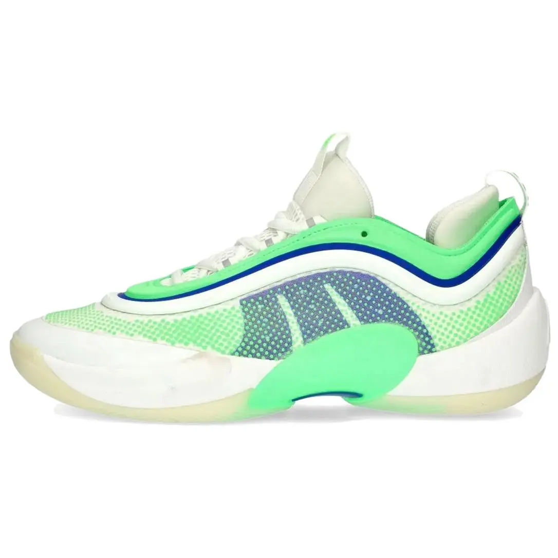 

Кроссовки D.O.N. Issue #6 Metamorphosis Adidas, White/Green