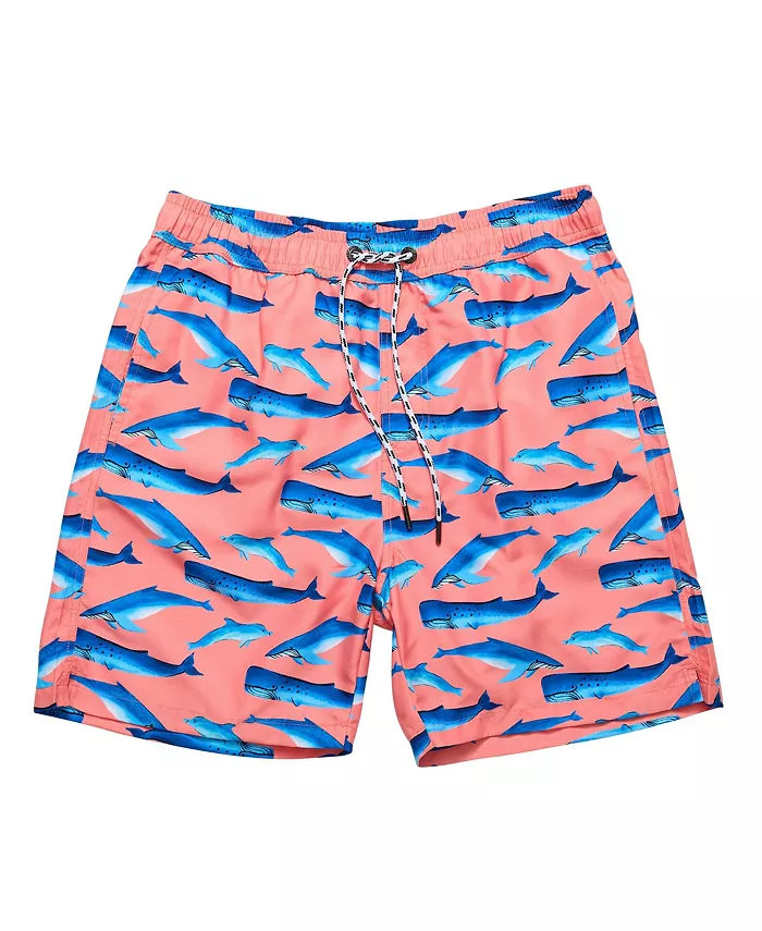 

Мужские плавки Whale Tail Snapper Rock, мультиколор
