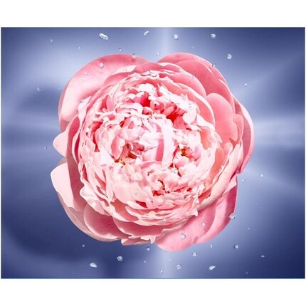 Lancme Lancome La Vie Est Belle Edt En Rose 100ml — фото 3