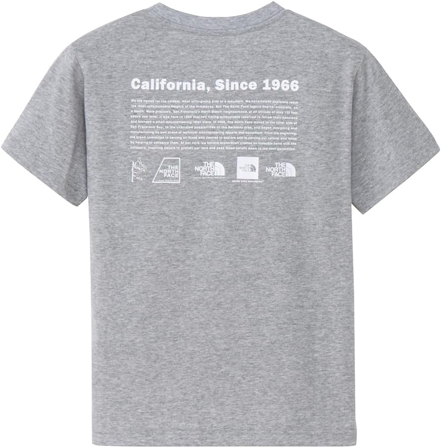 

Детская футболка с коротким рукавом THE NORTH FACE с историческим логотипом (NTJ32356) унисекс, серый