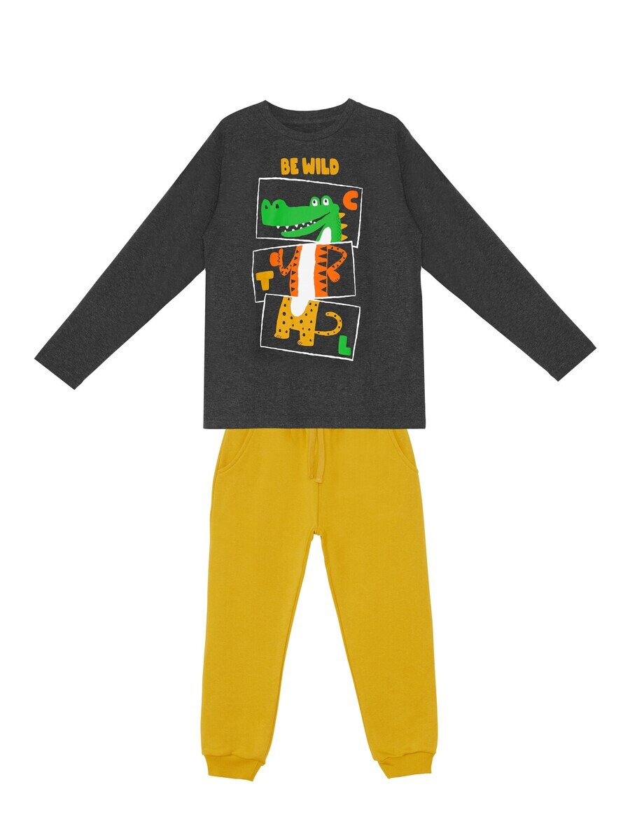 

Спортивный костюм Denokids Tracksuit Be Wild, антрацит