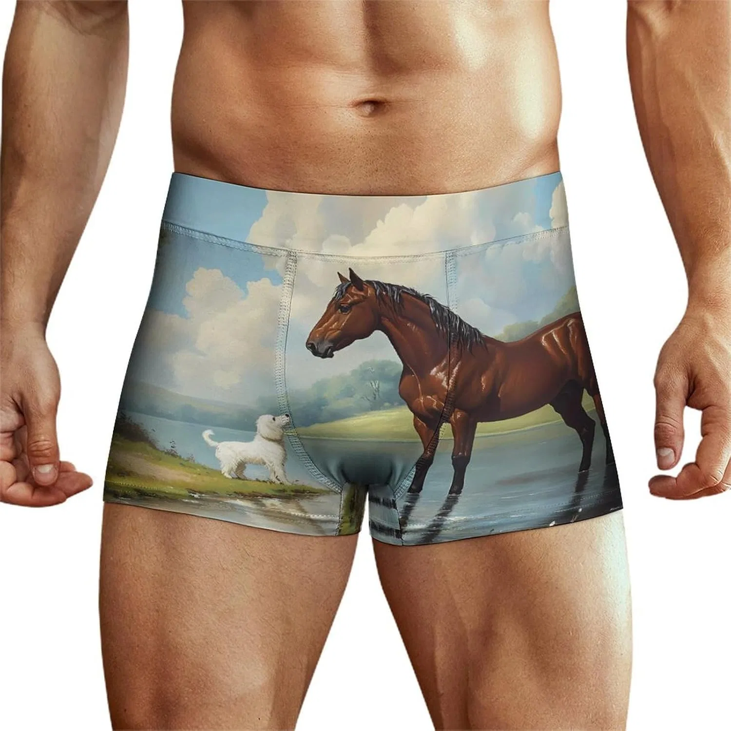 Боксеры с принтом, Horse Dog Friends, Style